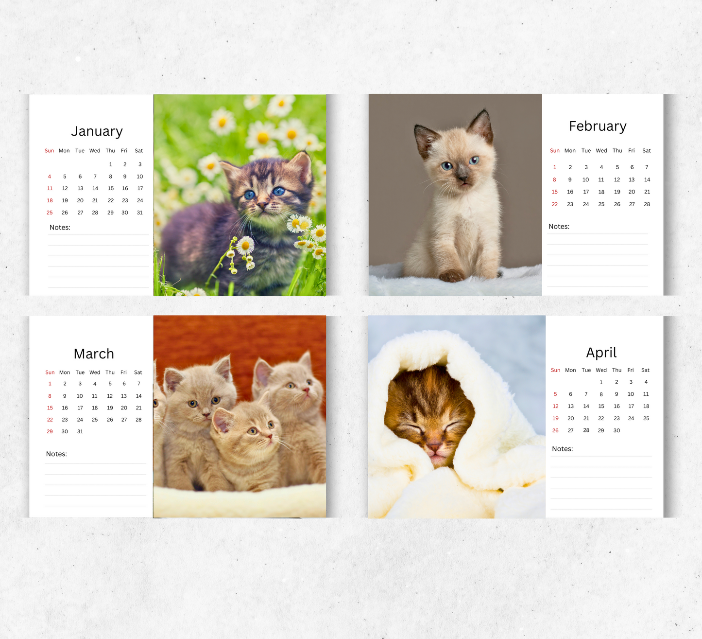 Kitten Desk Calendar 2026-2027