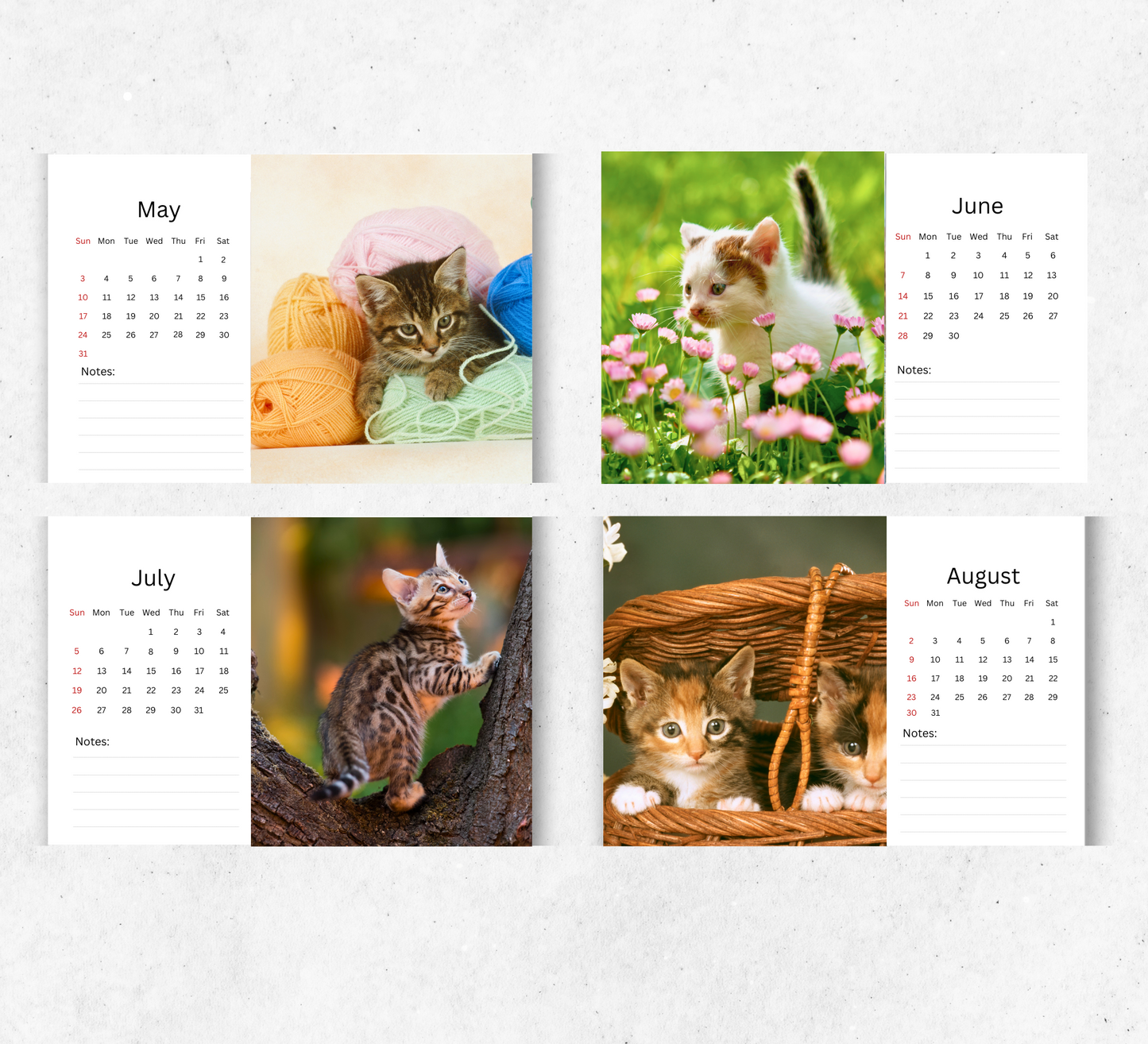 Kitten Desk Calendar 2026-2027