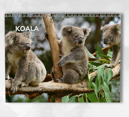 Koala Calendar 2027