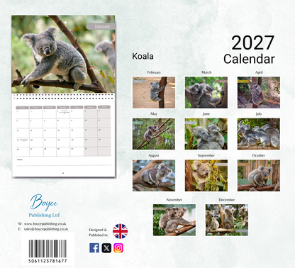 Koala Calendar 2027