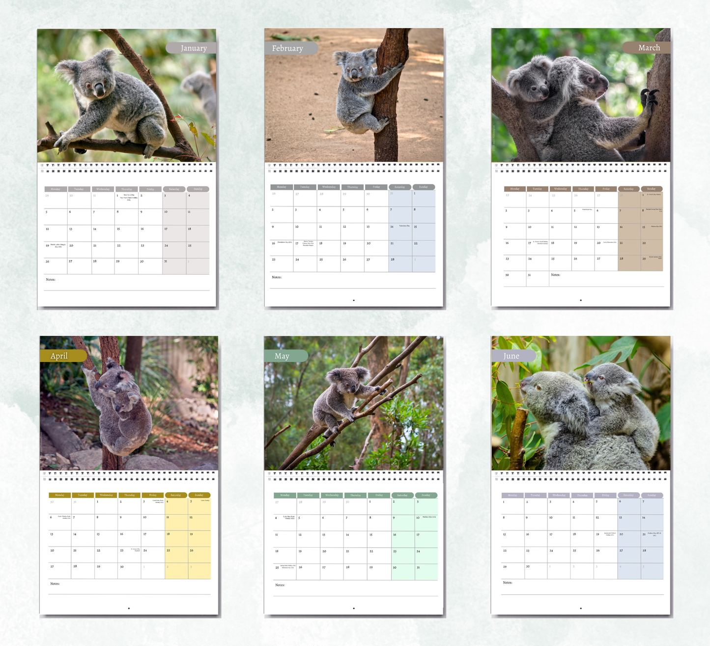 Koala Calendar 2027