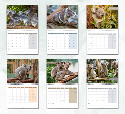 Koala Calendar 2027