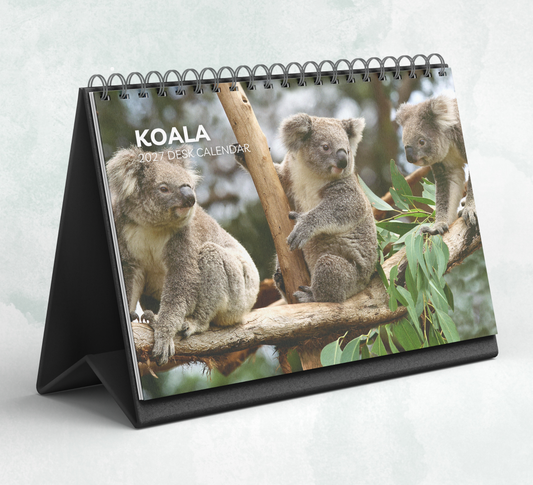 Koala Desk Calendar 2027-2028
