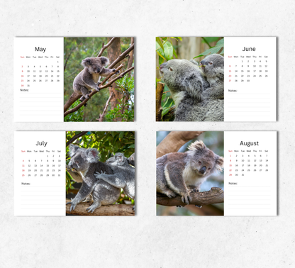 Koala Desk Calendar 2027-2028