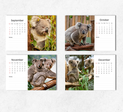 Koala Desk Calendar 2027-2028