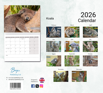 Koala Calendar 2026