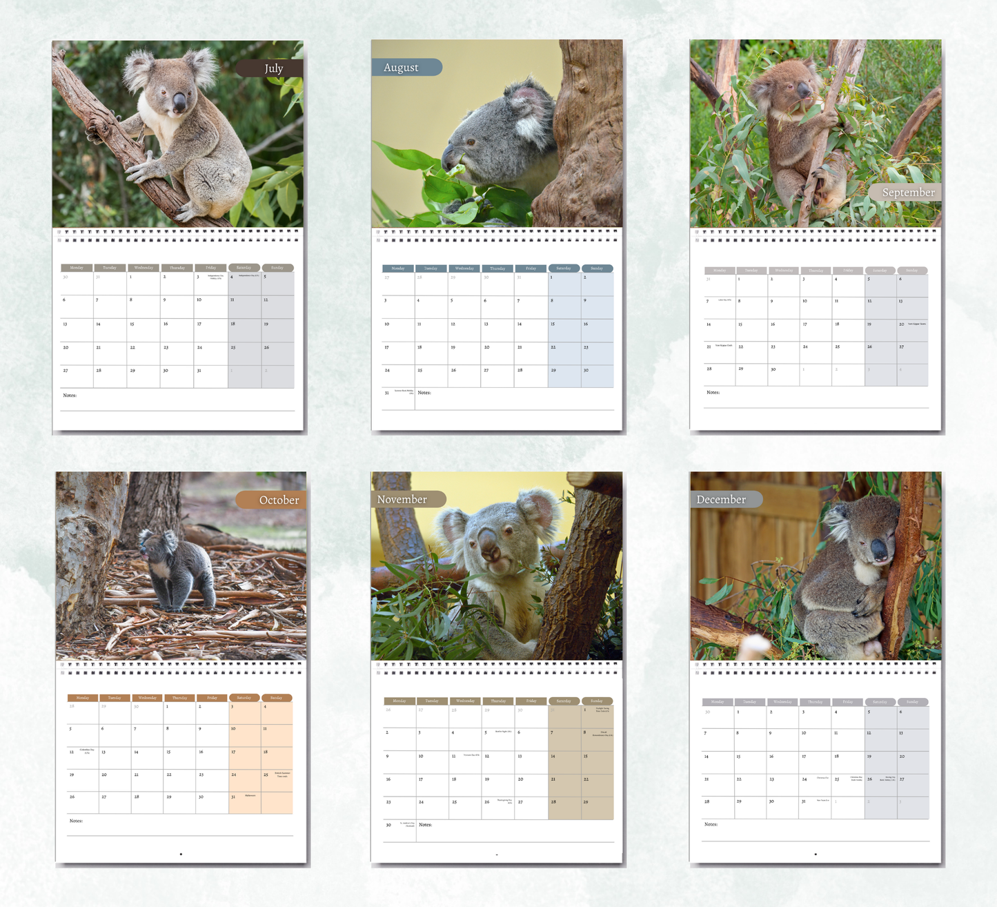 Koala Calendar 2026