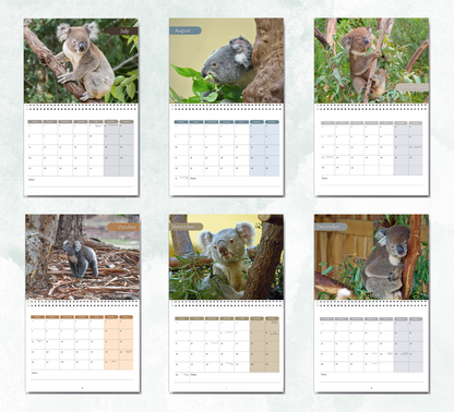 Koala Calendar 2026