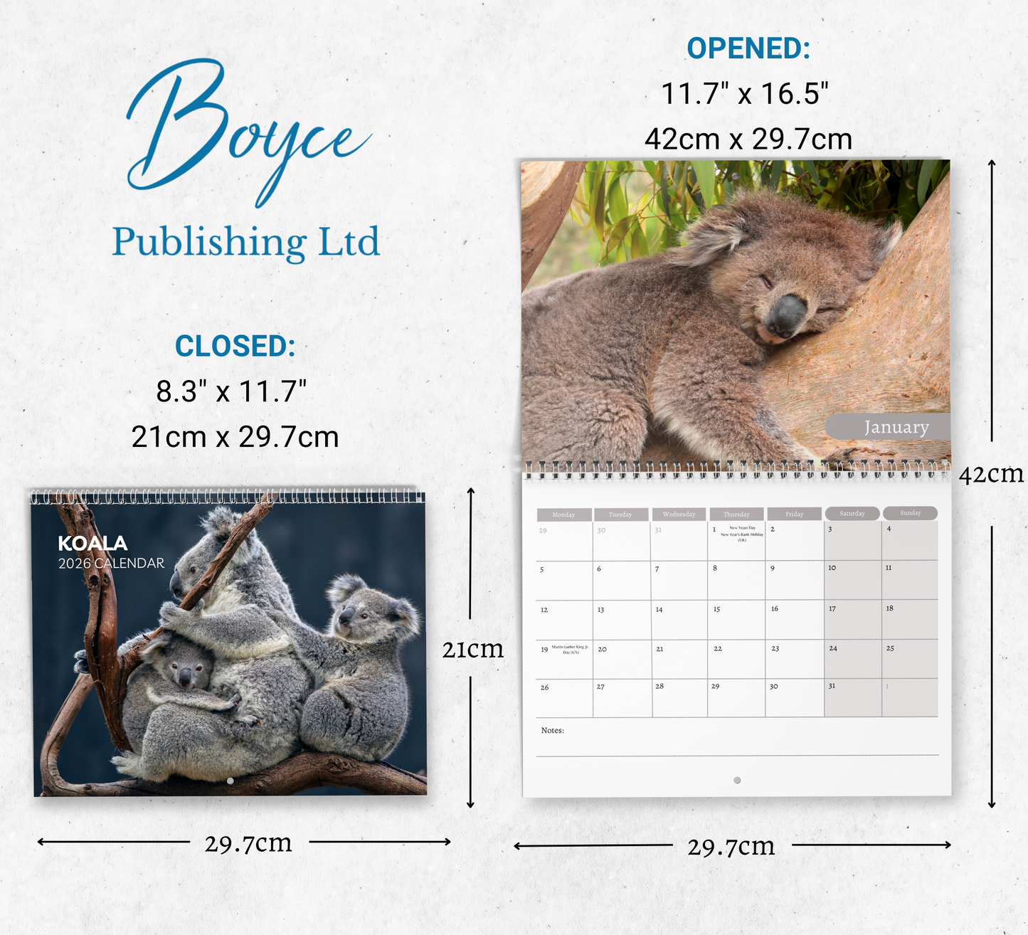 Koala Calendar 2026