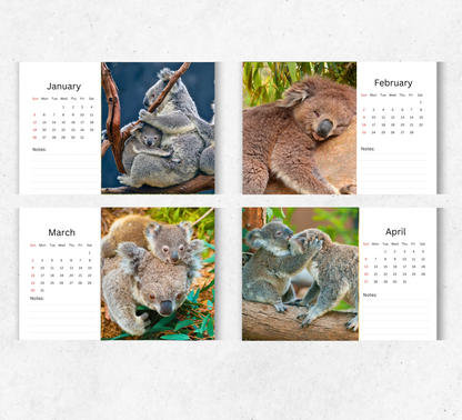 Koala Desk Calendar 2026-2027