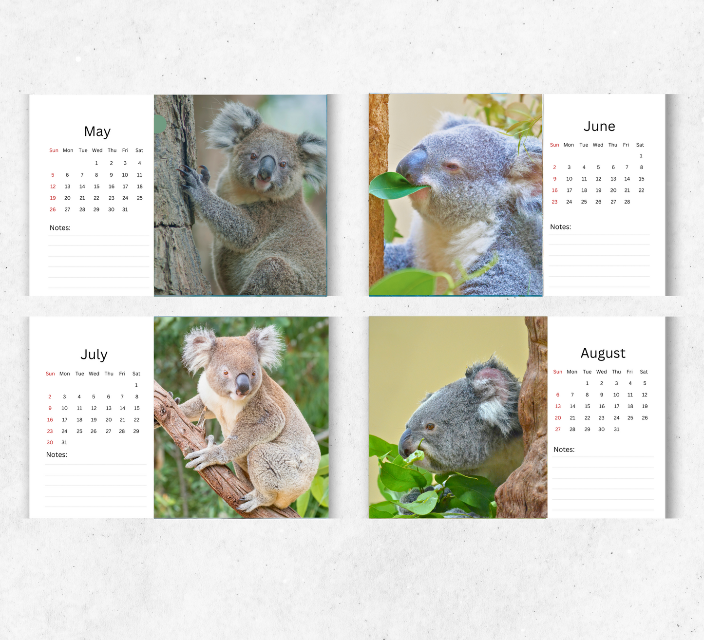 Koala Desk Calendar 2026-2027