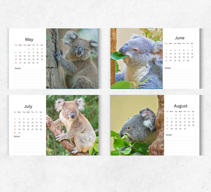 Koala Desk Calendar 2026-2027