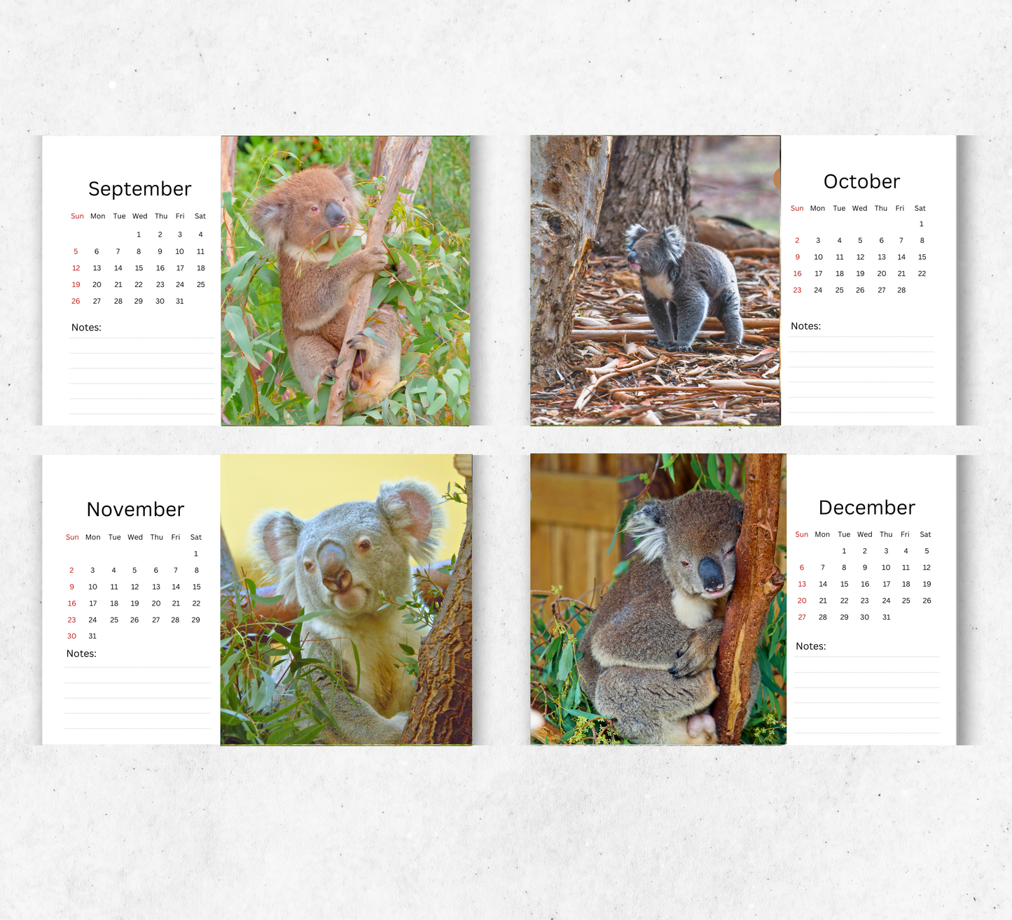 Koala Desk Calendar 2026-2027