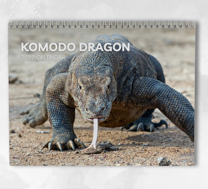 Komodo Dragon Calendar 2027