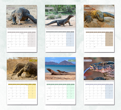 Komodo Dragon Calendar 2027