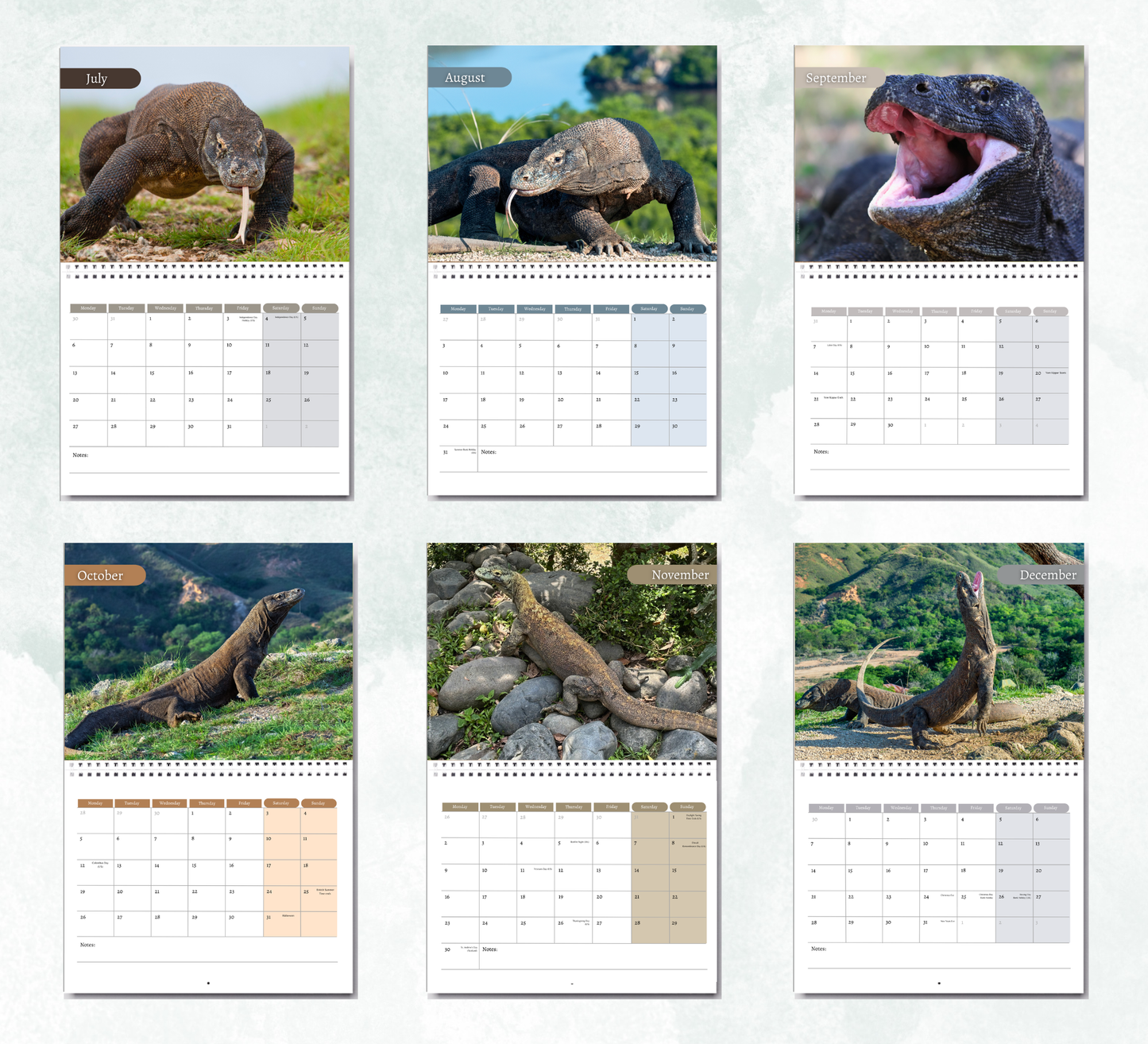 Komodo Dragon Calendar 2027