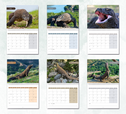 Komodo Dragon Calendar 2027