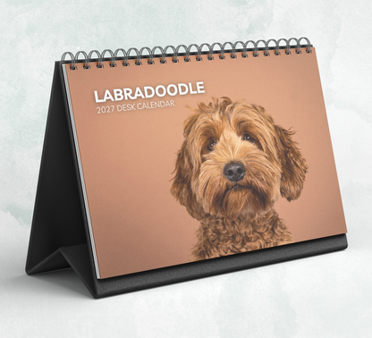 Labradoodle Desk Calendar 2027-2028