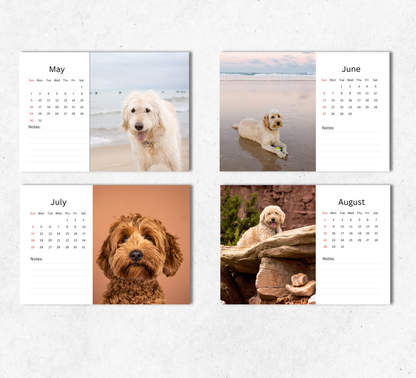 Labradoodle Desk Calendar 2027-2028