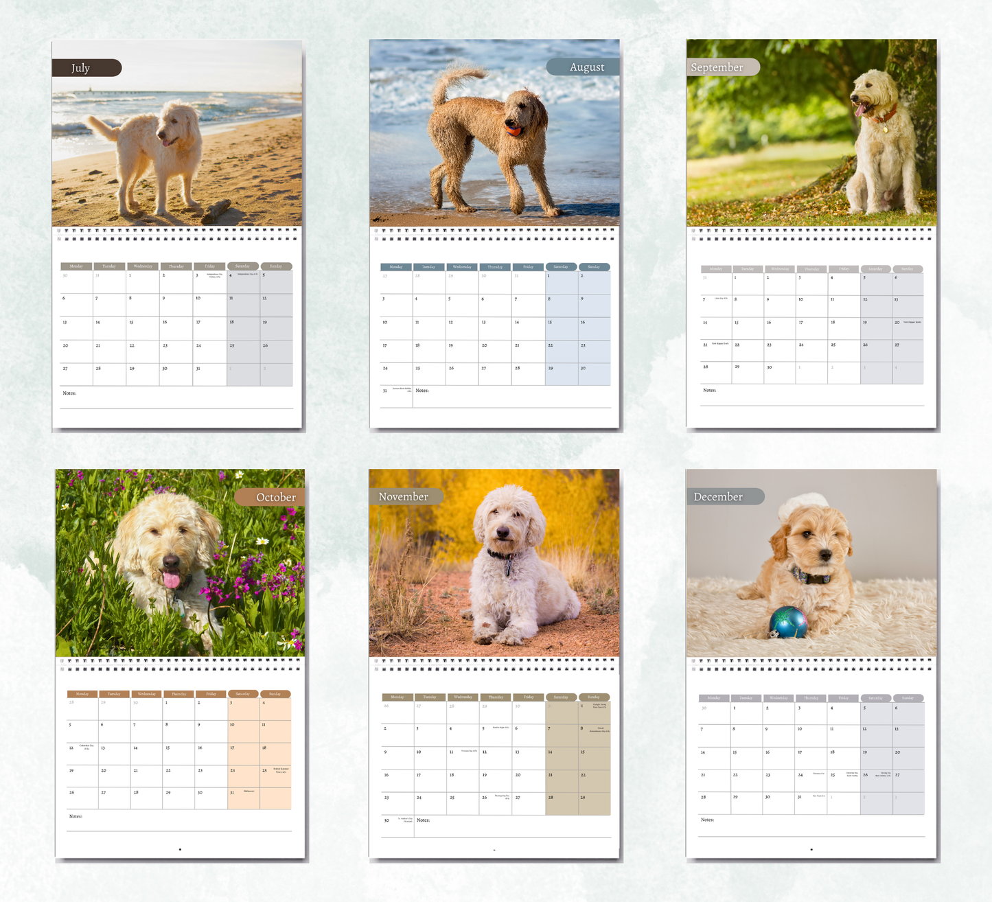 Labradoodle Calendar 2026