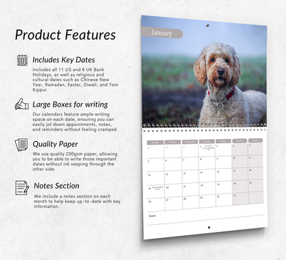 Labradoodle Calendar 2026
