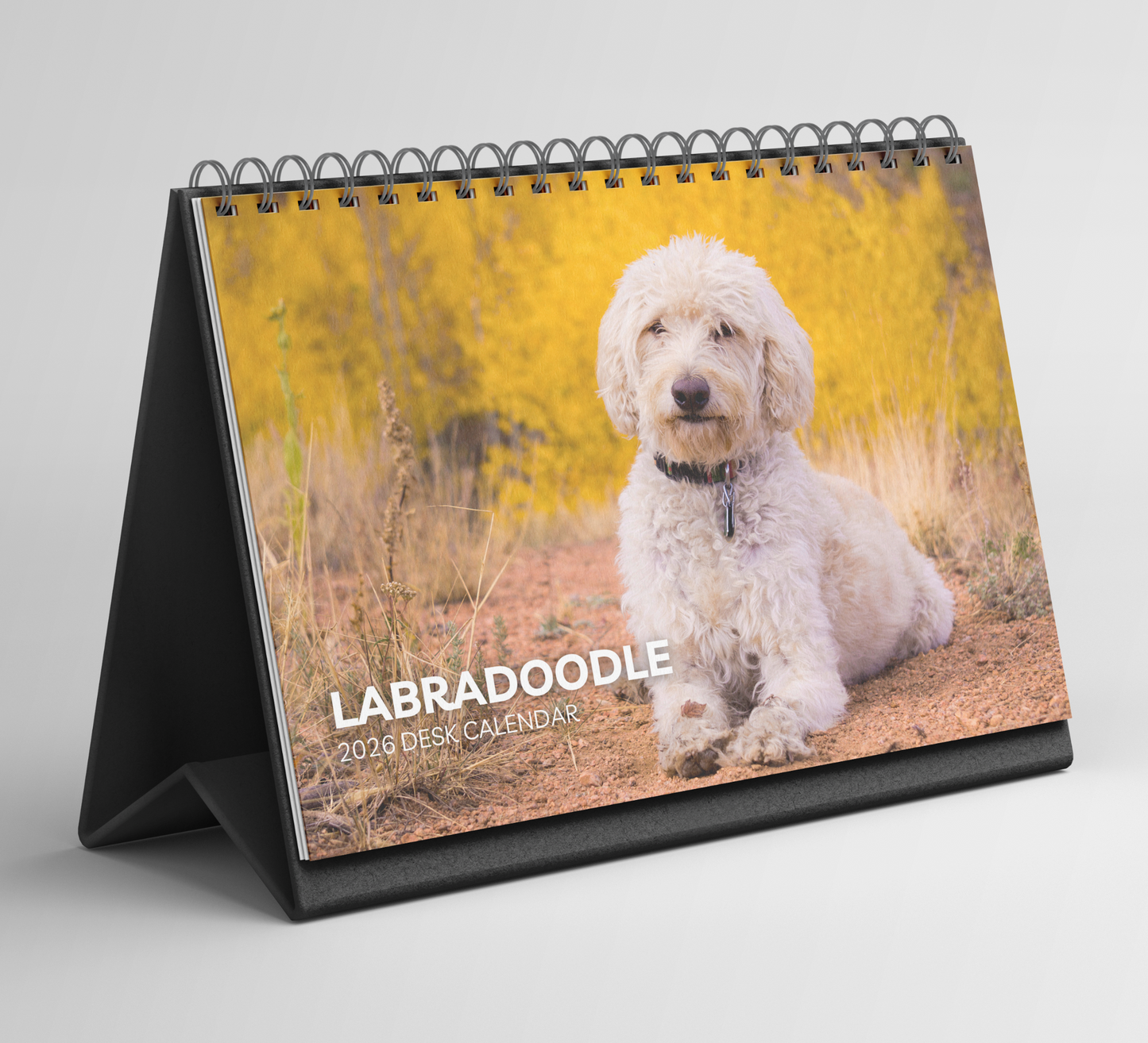 Labradoodle Desk Calendar 2026-2027
