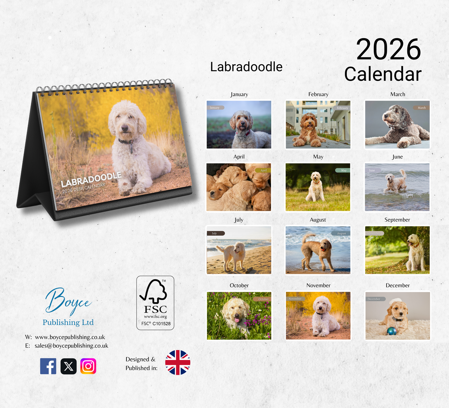 Labradoodle Desk Calendar 2026-2027