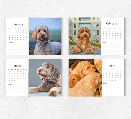 Labradoodle Desk Calendar 2026-2027