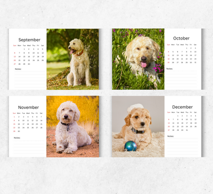 Labradoodle Desk Calendar 2026-2027