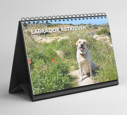 Labrador Desk Calendar 2027-2028