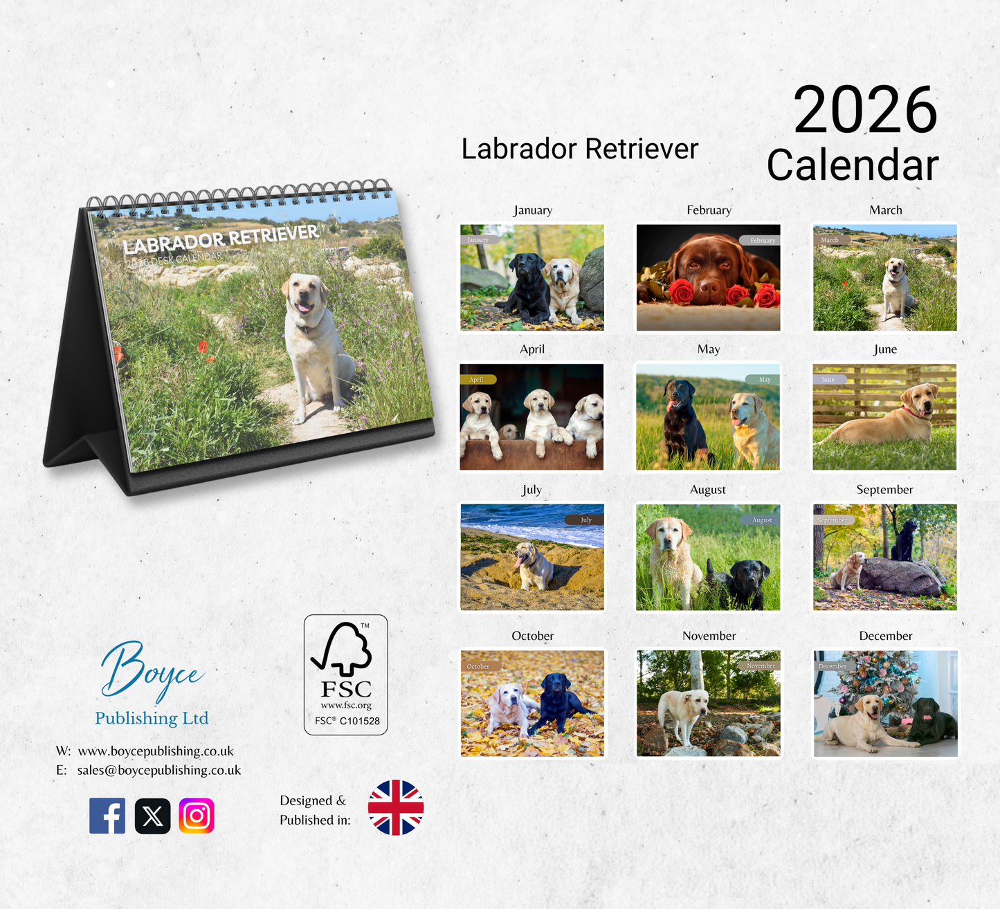 Labrador Desk Calendar 2027-2028