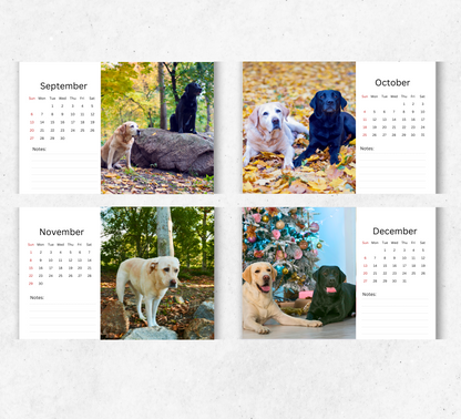 Labrador Desk Calendar 2027-2028