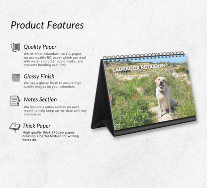Labrador Desk Calendar 2027-2028
