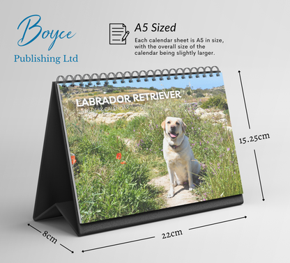 Labrador Desk Calendar 2027-2028