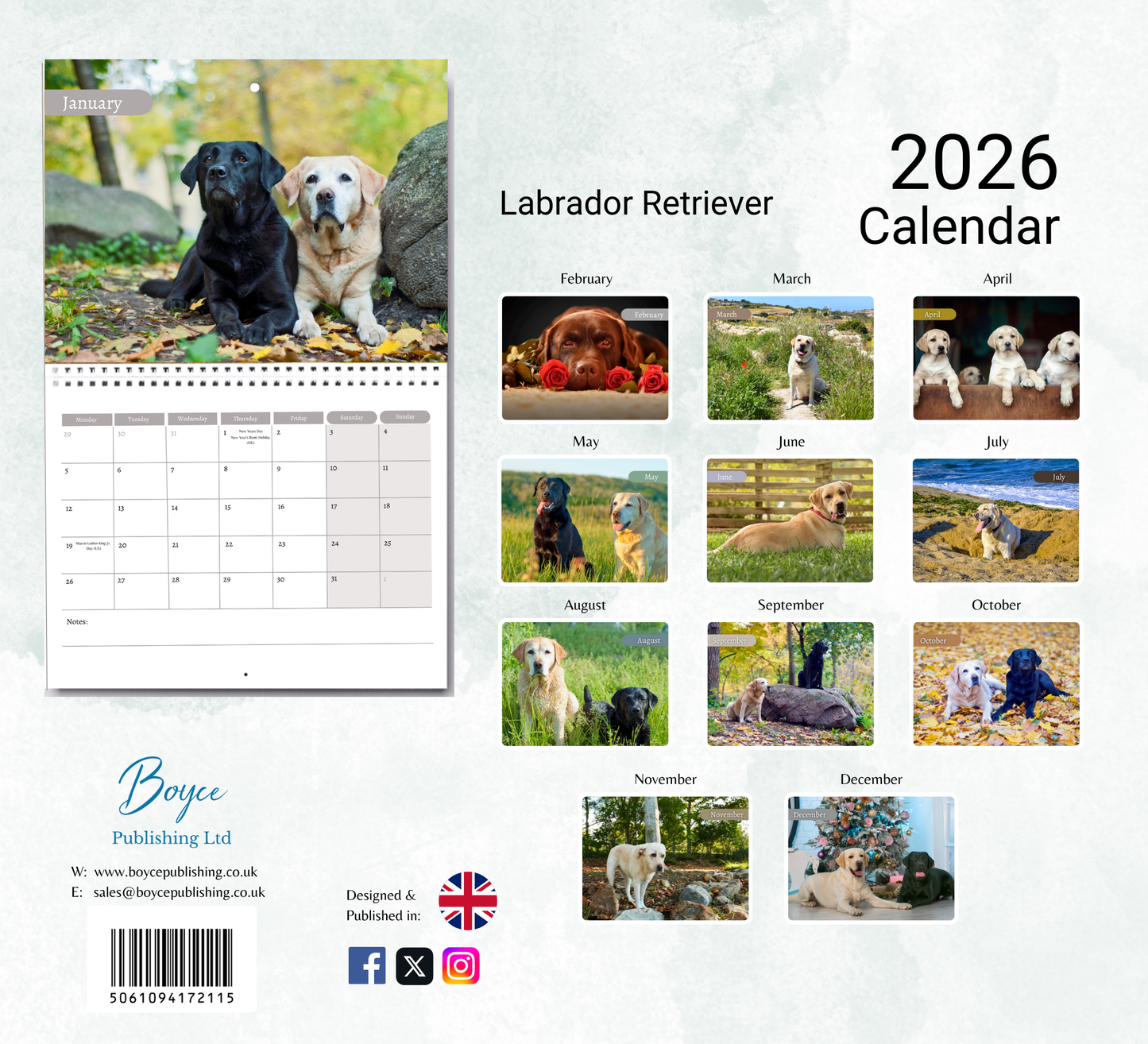 Labrador Calendar 2026