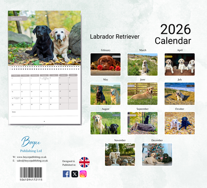 Labrador Calendar 2026