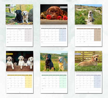 Labrador Calendar 2026