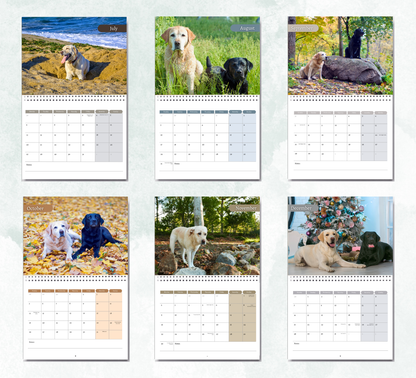 Labrador Calendar 2026