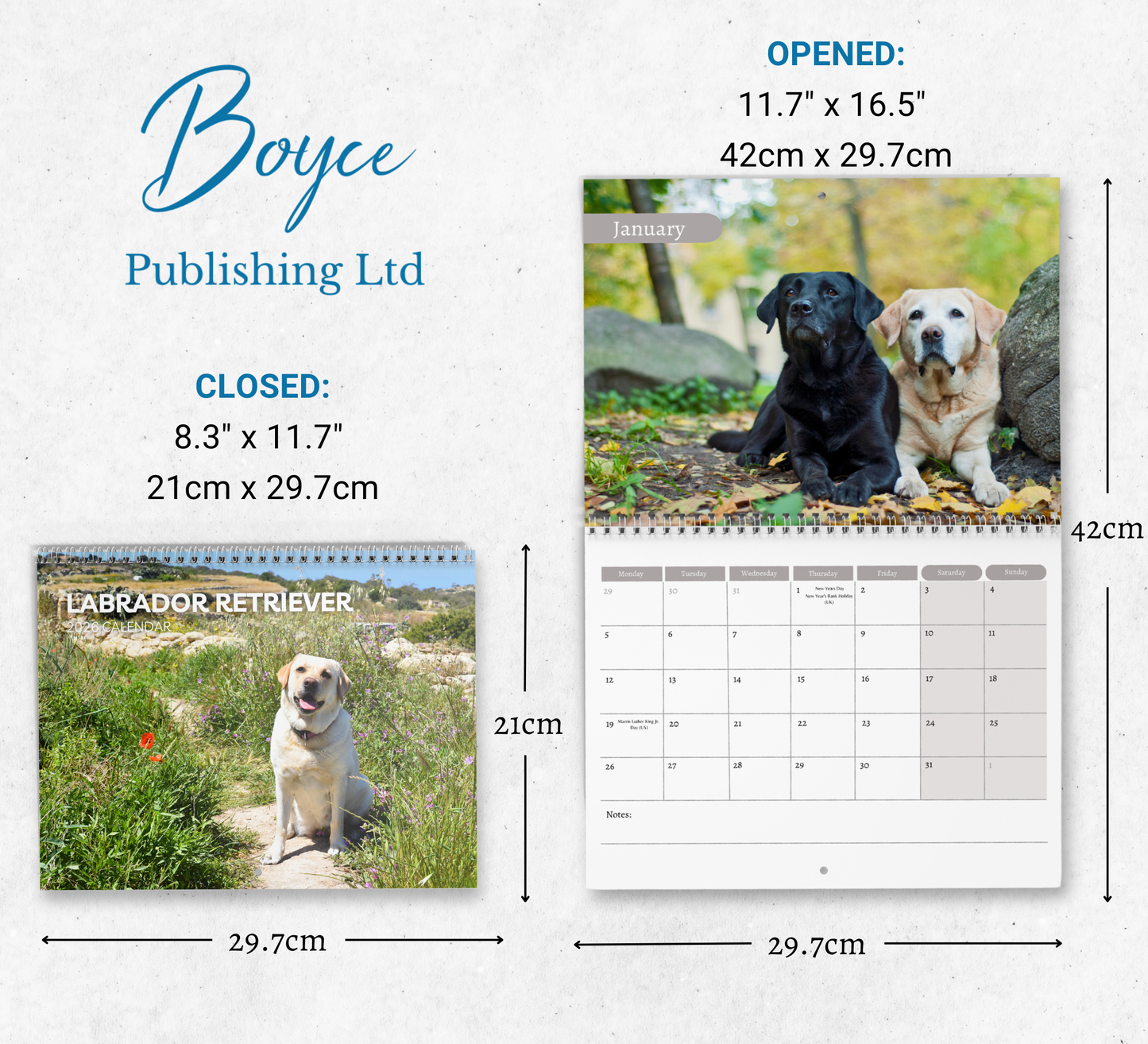 Labrador Calendar 2026