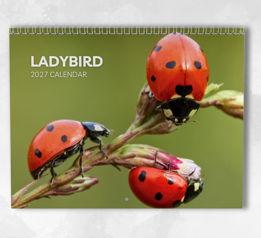 Ladybird Calendar 2027