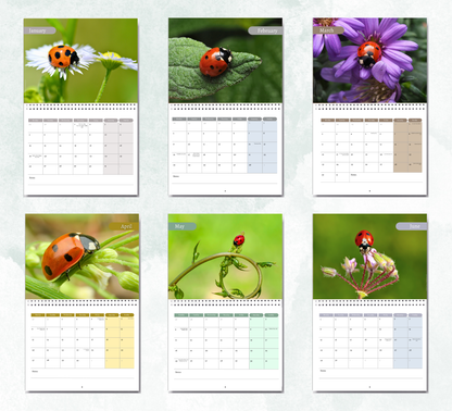 Ladybird Calendar 2027
