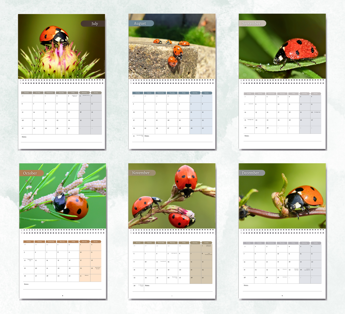 Ladybird Calendar 2027