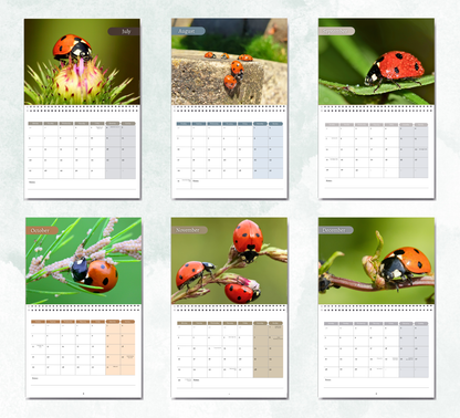 Ladybird Calendar 2027