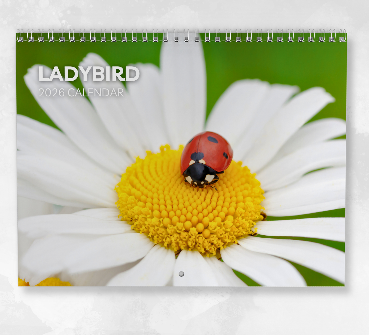 Ladybird Calendar 2026