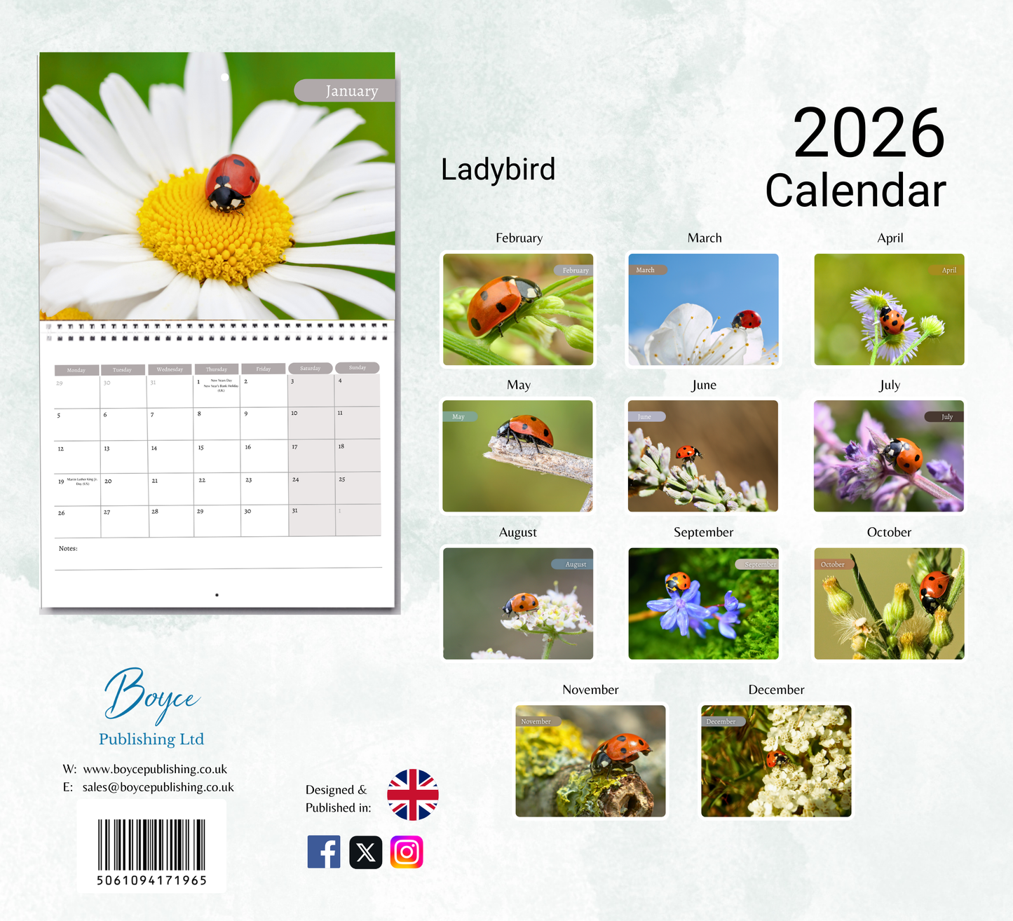 Ladybird Calendar 2026