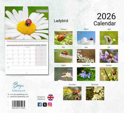 Ladybird Calendar 2026