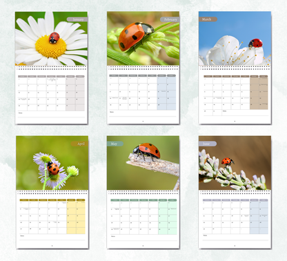 Ladybird Calendar 2026