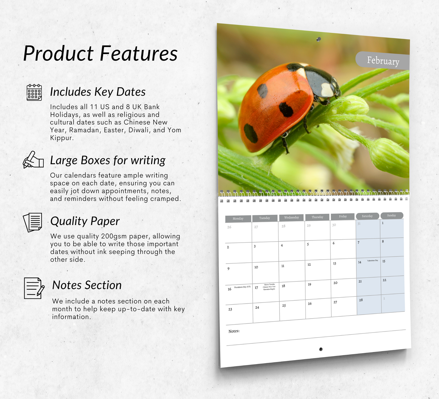 Ladybird Calendar 2026