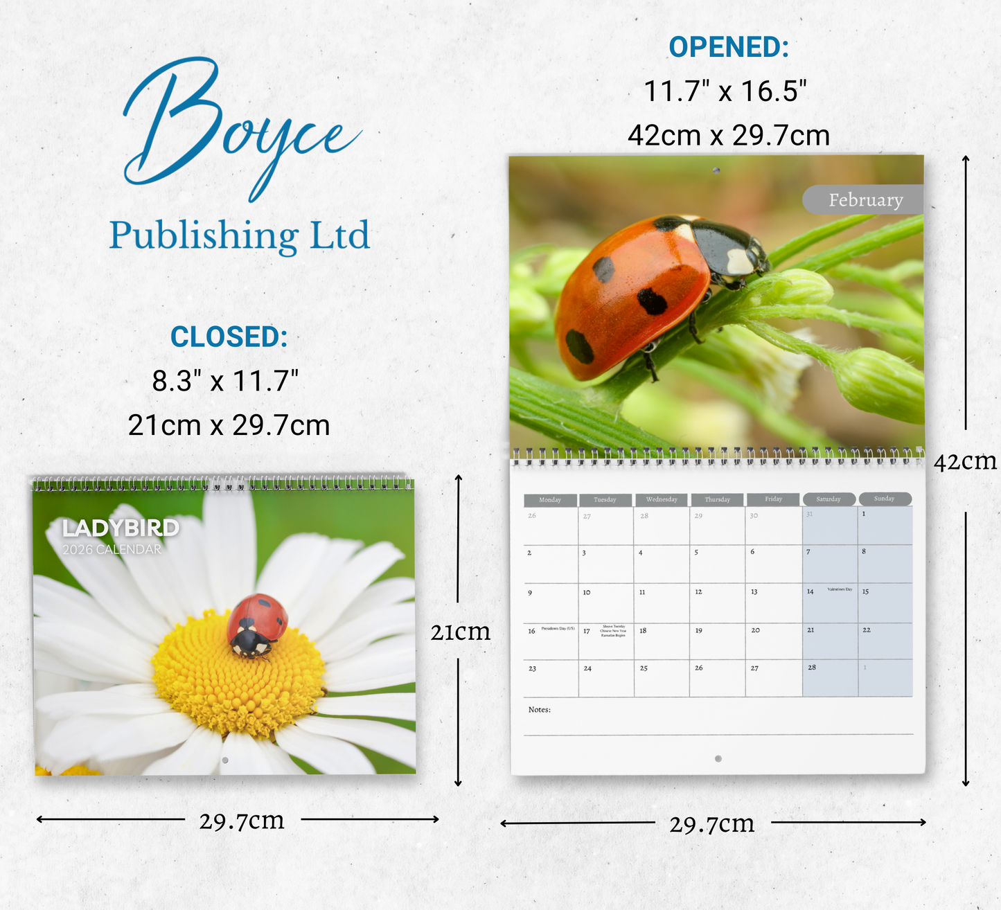 Ladybird Calendar 2026