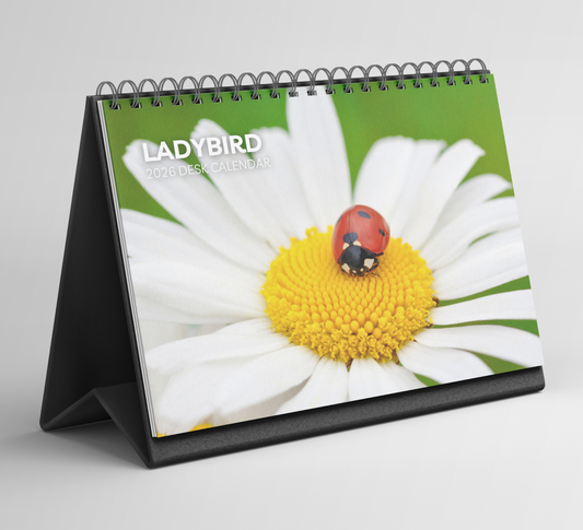 Ladybird Desk Calendar 2026-2027